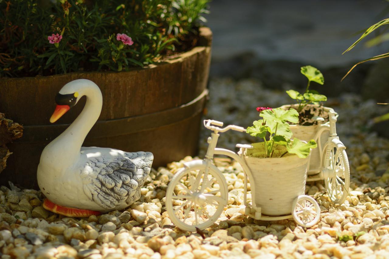 Villa Yanevi Lozenets Dış mekan fotoğraf